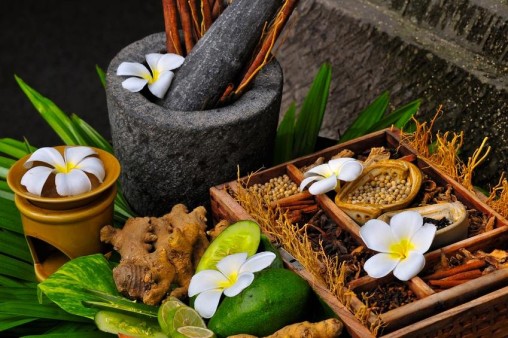 Ayurveda Herbology & Medicine Preparation