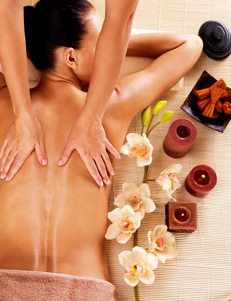 Ayurveda Massage & Panchakarma Therapy