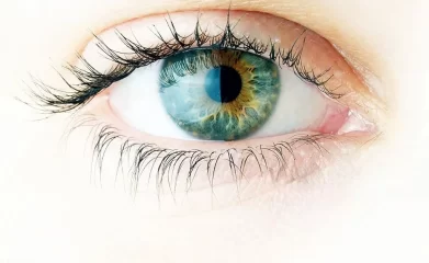 Ayurvedic remedies for common eye disorders
