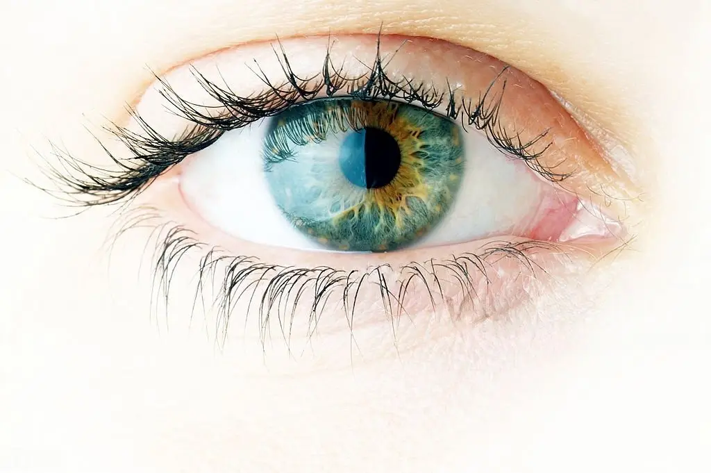 Ayurvedic remedies for common eye disorders