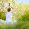 Beyond the Mat: Why Yoga Teachers Need Ayurveda Knowledge