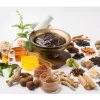 Ayurveda Diploma Courses in Kerala: Complete Guide to Career, Training & Certification