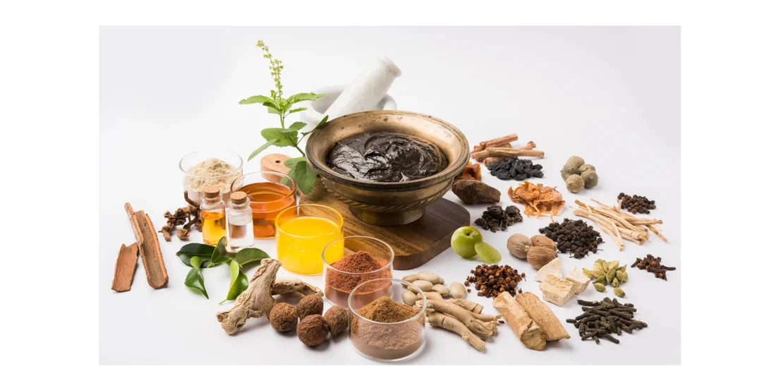Ayurveda Diploma Courses in Kerala: Complete Guide to Career, Training & Certification