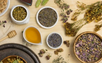 Discover the Value of Ayurveda Courses in Kerala