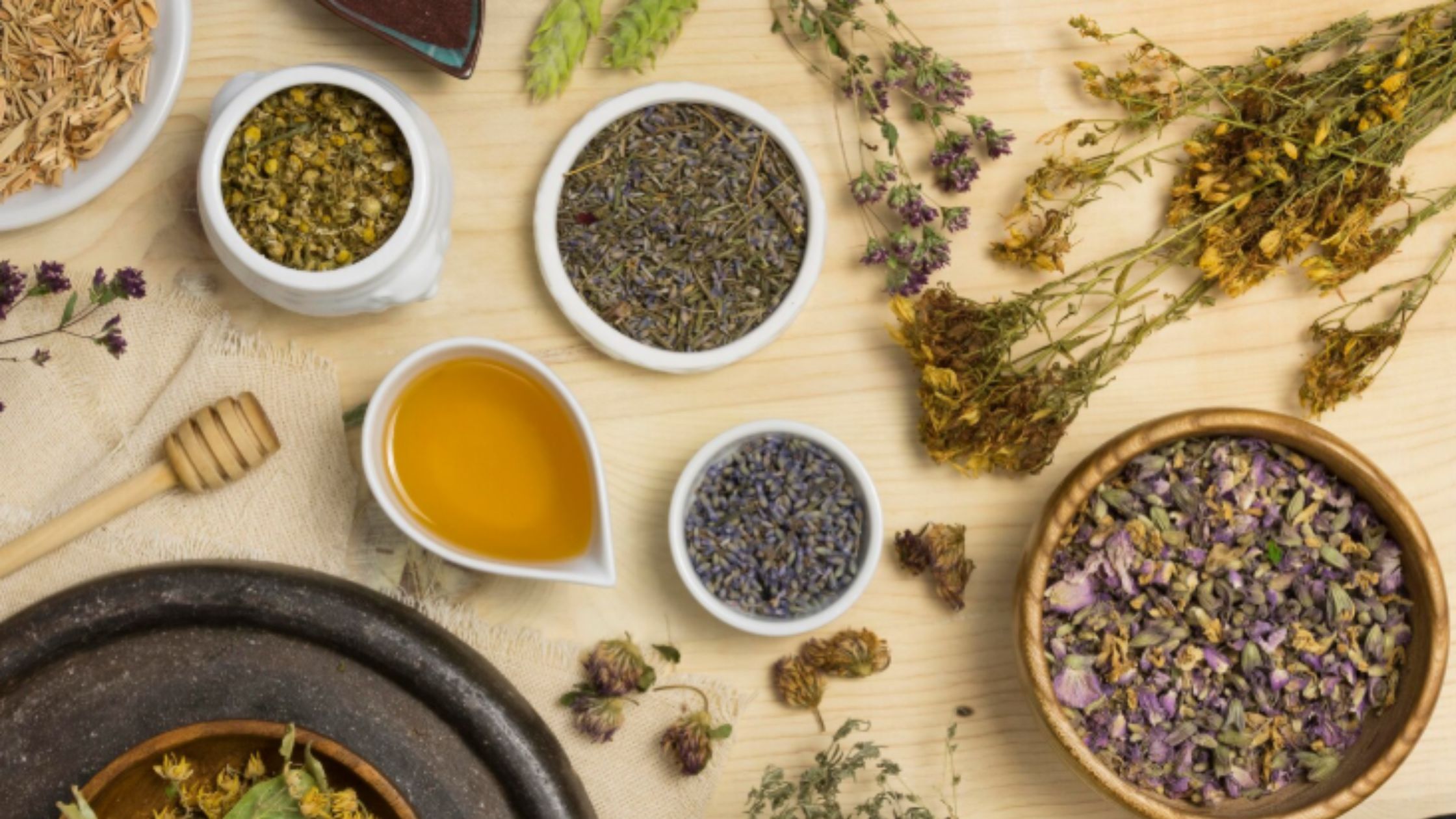 Discover the Value of Ayurveda Courses in Kerala