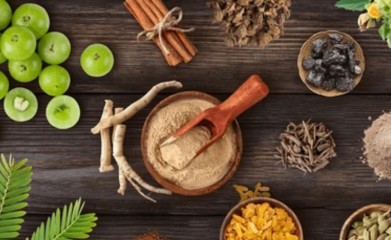 Best Ayurveda Courses in Kerala: Your Complete Guide to Diploma, Panchakarma and Therapist Training