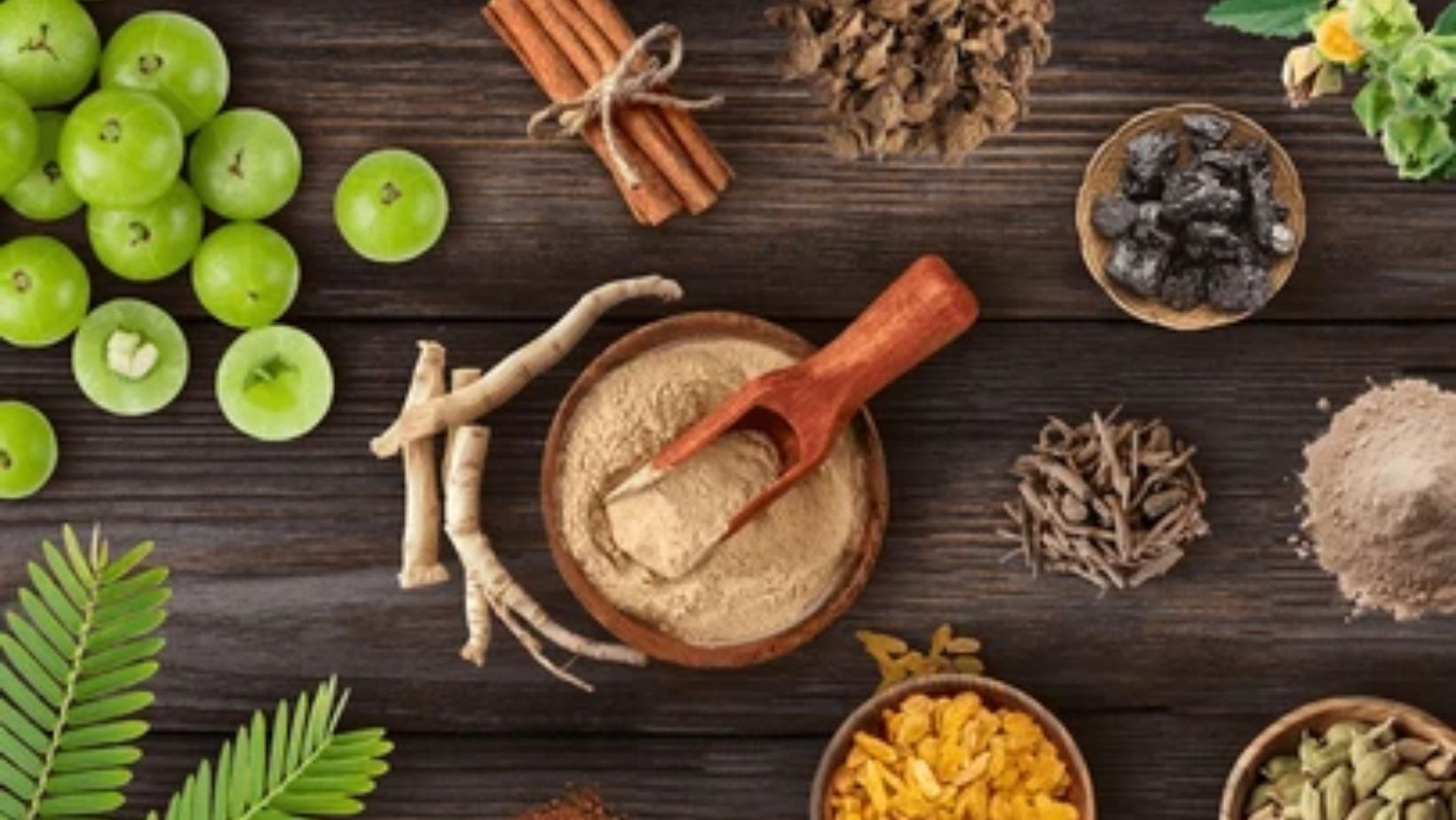 Best Ayurveda Courses in Kerala: Your Complete Guide to Diploma, Panchakarma and Therapist Training
