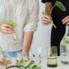 # Why Choosing the Right Ayurveda Institute in Kerala Can Shape Your Wellness Career