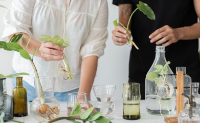 # Why Choosing the Right Ayurveda Institute in Kerala Can Shape Your Wellness Career