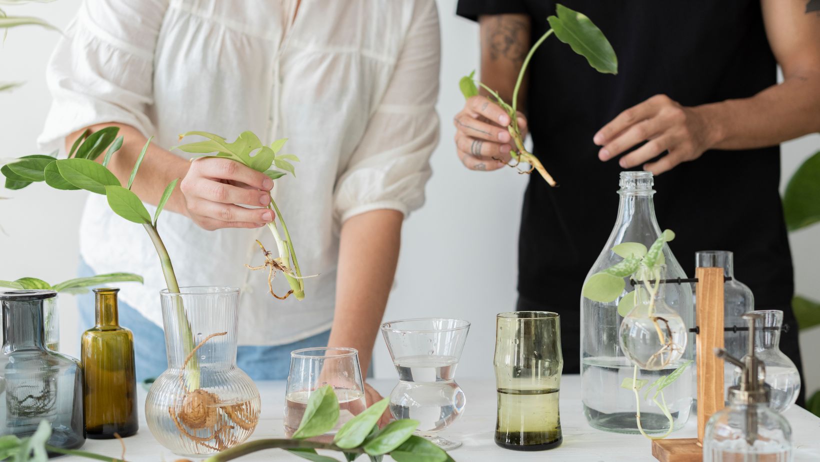 # Why Choosing the Right Ayurveda Institute in Kerala Can Shape Your Wellness Career