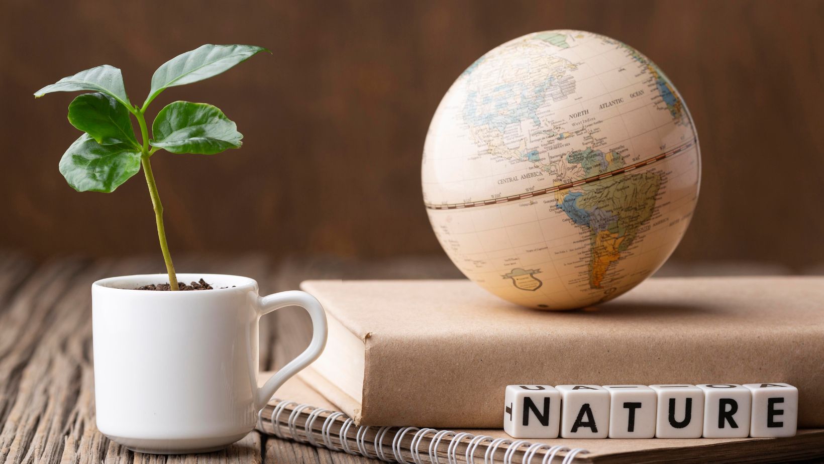 The Global Journey to Ayurveda: Why Students and Wellness Travellers Choose Kerala