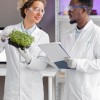 The Growing Global Demand for Certified Ayurveda Professionals