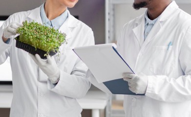 The Growing Global Demand for Certified Ayurveda Professionals