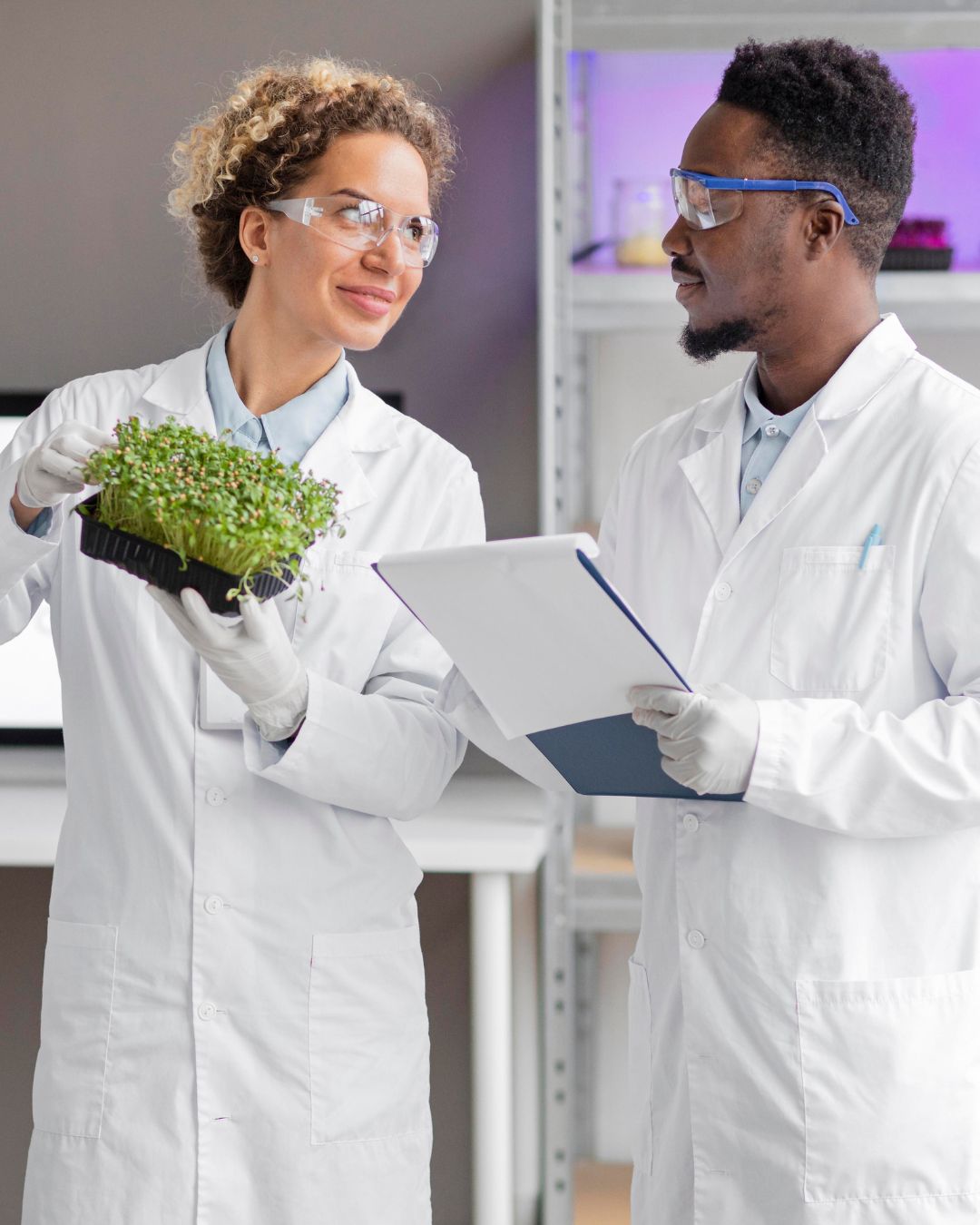 The Growing Global Demand for Certified Ayurveda Professionals
