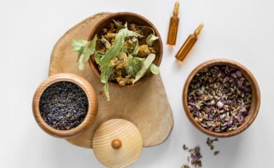 Why an Ayurveda Panchakarma Course in Kerala Shapes Better Wellness Professionals