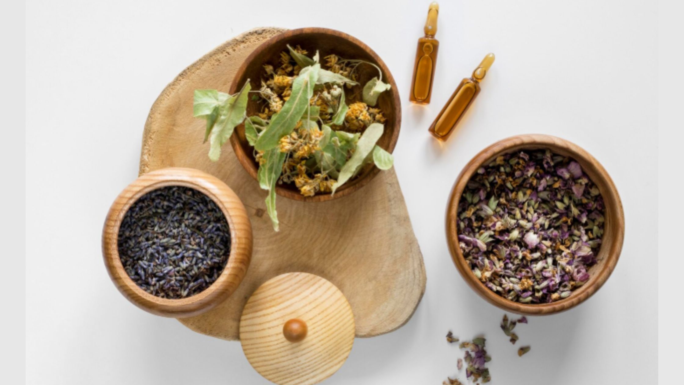 Why an Ayurveda Panchakarma Course in Kerala Shapes Better Wellness Professionals