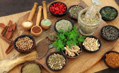 Ayurveda School in India: A Guide for Students and Beginners