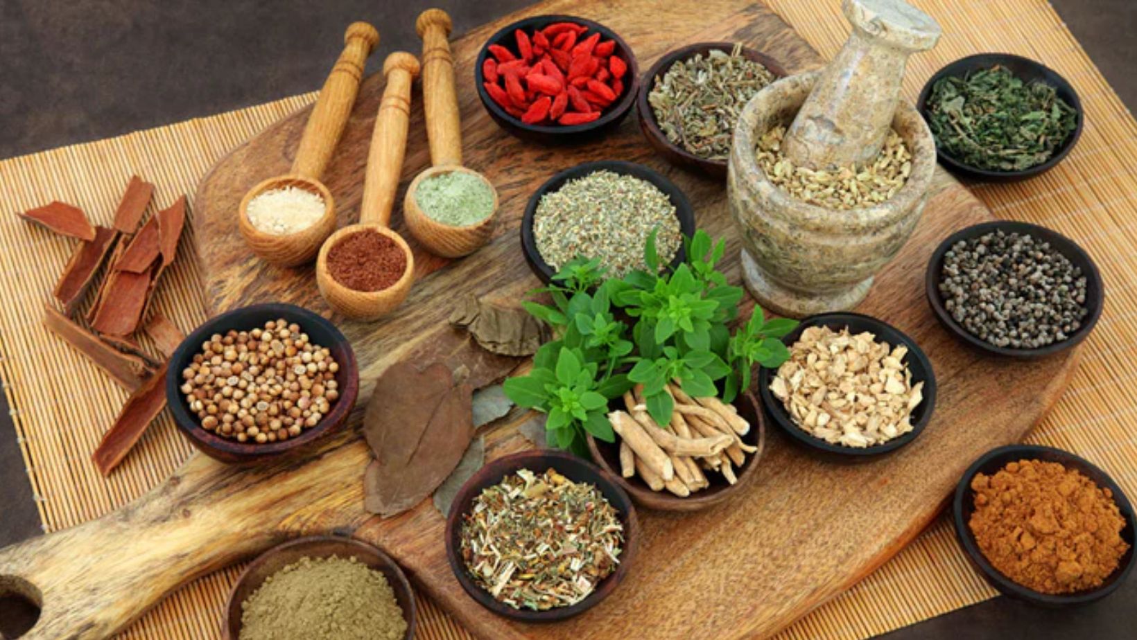 Ayurveda School in India: A Guide for Students and Beginners