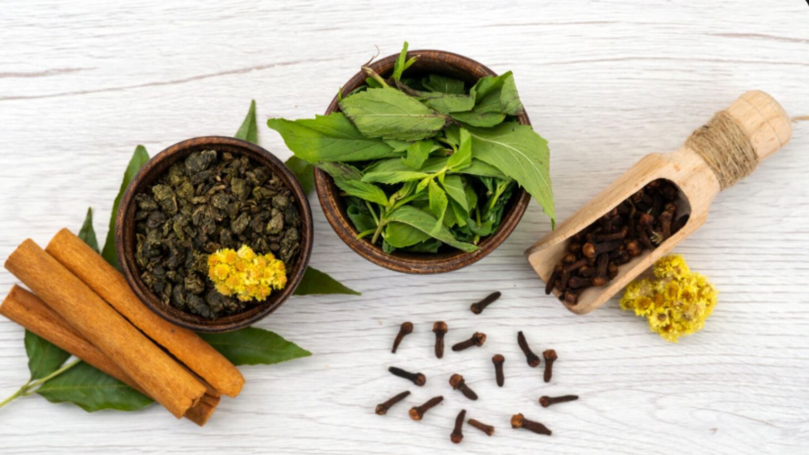 Best Ayurveda Institute: What Students Should Look For