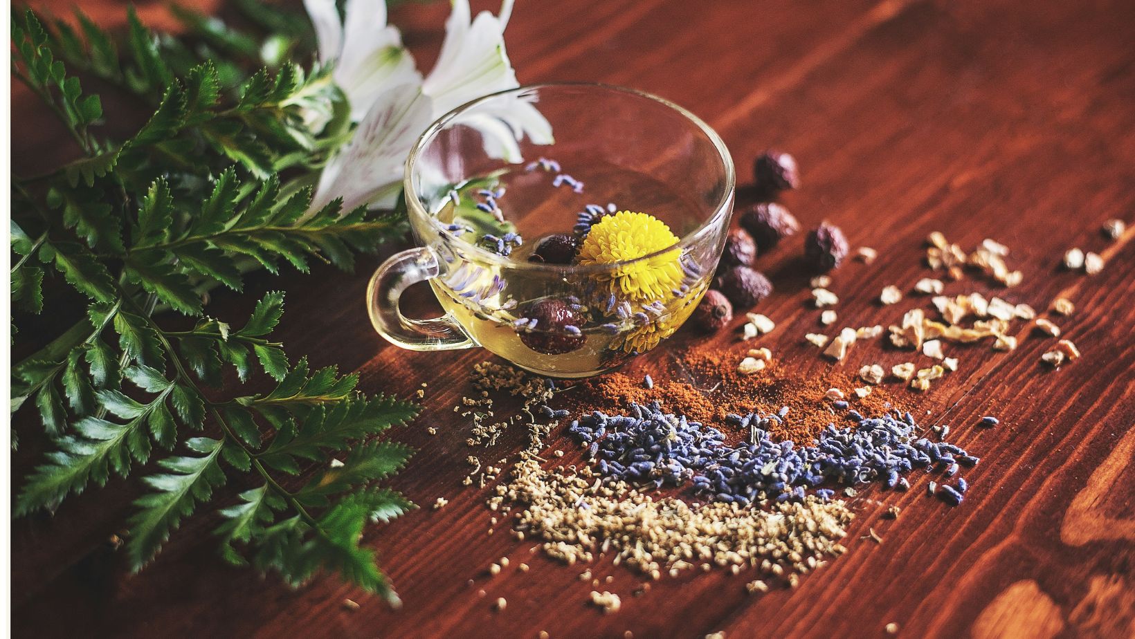 Self-Paced Ayurveda Course: Learn Ayurveda at Your Own Pace