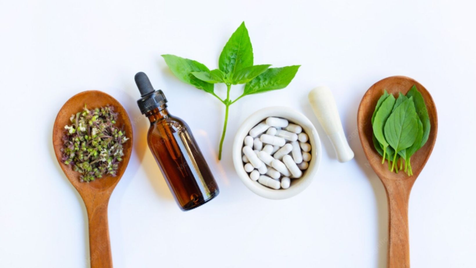 Herbal Medicine Course: Learn Traditional Herbal Knowledge