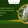 How Ayurveda Tourism in Kerala Combines Wellness and Educational Experiences