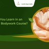 What Do You Learn in an Ayurveda Bodywork Course?